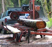 Milling a maple log
May 2007